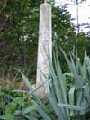 Union Cemetery Headstone